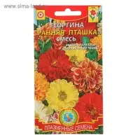 Семена Георгина "Ранняя пташка", смесь, 12 шт