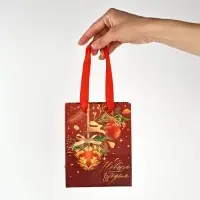 Набор пакетов ламинированных &laquo;Чудесного праздника!&raquo;