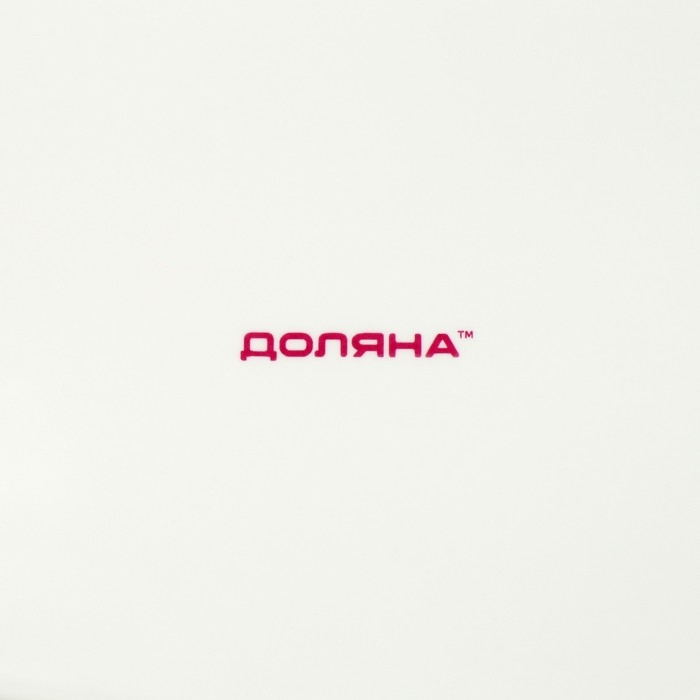 Блюдо фарфоровое сервировочное Доляна &laquo;Коты-аристократы&raquo;, 30&times;18,5 см, цвет белый