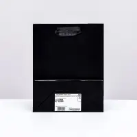 Пакет подарочный ламинированный &laquo;Чёрный&raquo;, S 12&times;15&times;5.5 см