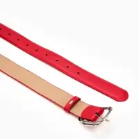 Ремень жен 06-01-02-01, Июнь2504, 3,2*0,3*110 см, без винта, пряж металл, 1 прокол, красный   109031