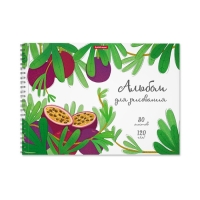 Альбом для рисования А4, 30 листов на спирали, ErichKrause Juicy Fruits, блок 120 г/м&sup2;, 100% белизна, перфорация для отрыва, твёрдая подложка