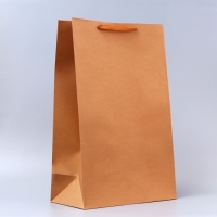 Пакет крафт без печати, 38 х 60 х 20 см 210 гр