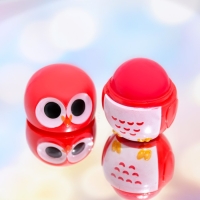 Бальзам для губ &laquo;Сова&raquo;, микс цветов и ароматов