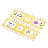 Набор для опытов &laquo;Набор микропрепаратов&raquo;, цветы