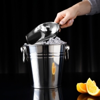 Совок из нержавеющей стали для льда и сыпучих продуктов, 260 мл, 24&times;9 см, цвет хромированный