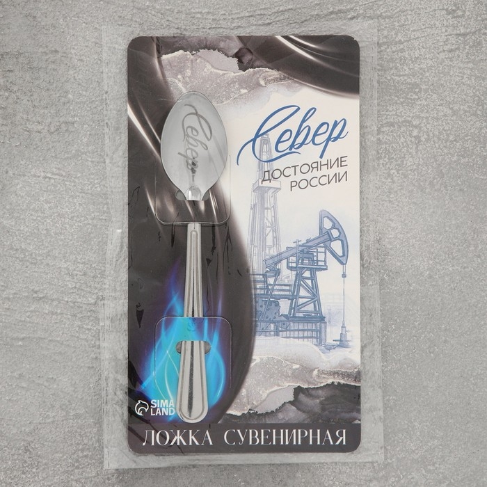 Ложка сувенирная &laquo;Север&raquo;, с гравировкой, 3 х 14 см