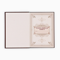 Родословная книга в шкатулке &laquo;Древо семьи&raquo;, 56 листов, 20 х 26 см.