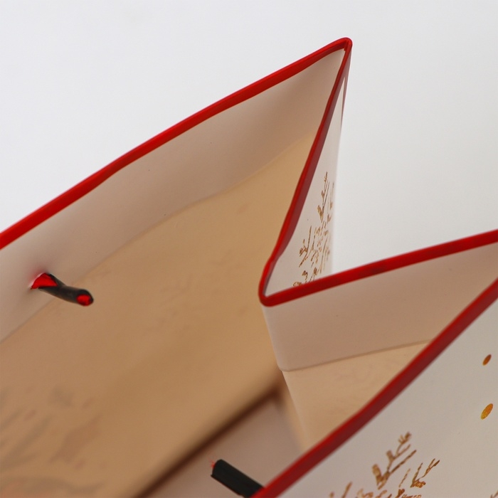 Пакет ламинированный &laquo;Время чудес!&raquo;, MS 23 &times; 18 &times; 10 см