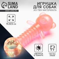 Игрушка для собак жевательная светящаяся в темноте &laquo;Медвежонок&raquo;, 9 х 4.5 см
