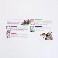 Настольная игра для тигриц "Women момэнт"