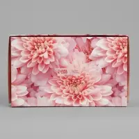 Кондитерская упаковка, коробка с ламинацией &laquo;Beauty&raquo;, 20 х 12 х 4 см