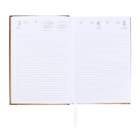 Ежедневник датированный 2024 года, А5, 176 листов, Attomex.Regent, обложка бумвинил, ляссе, блок 70 г/м2, золотой