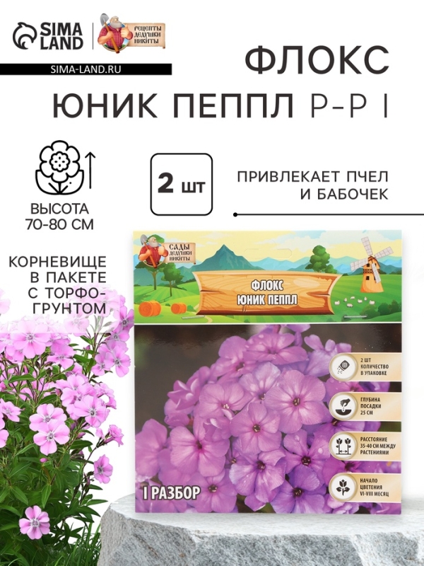 Флокс &laquo;Юник Пеппл&raquo; корневище в пакете с торфогрунтом, р-р I, 2 шт.