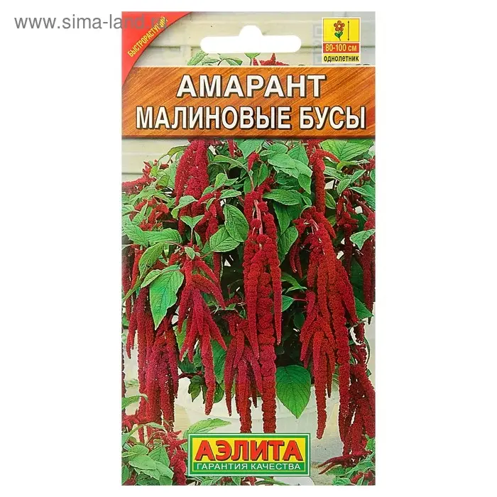 Семена цветов Амарант "Малиновые бусы", О, 0,2 г