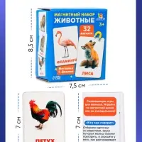 Магнитные карточки по методике Домана &laquo;Животные&raquo;, 32 карты, 3+