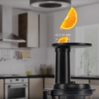 Соковыжималка шнековая HY-JS2323 120Вт