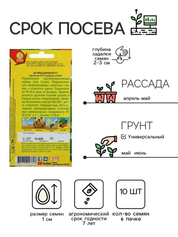 Семена огурца "Буржуй", F1, раннеспелый, 10 шт.