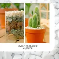 Мраморный песок &laquo;Рецепты Дедушки Никиты&raquo;, отборный, белый, фр 0.5-1 мм, 1 кг