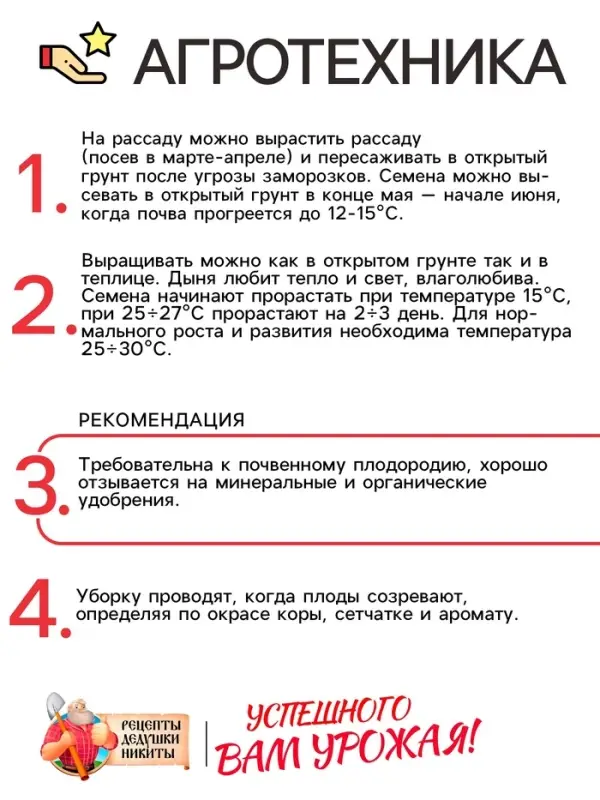 Семена Дыня "Колхозница 749/753", 0,3 г