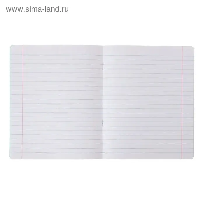 Тетрадь 18 листов в линейку &laquo;Зелёная обложка&raquo;, с алфавитом, плотность 60 г/м&sup2;, белые листы, термоупаковка 25 шт.