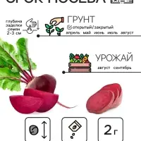 Семена Свекла &laquo;Египетская плоская&raquo;, 2 г