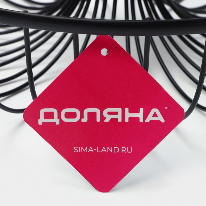 Фруктовница Доляна &laquo;Эстетика&raquo;, 33&times;33&times;30,5 см, цвет чёрный