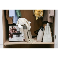 Короб стеллажный для хранения Доляна &laquo;Астра&raquo;, 25&times;25&times;25 см