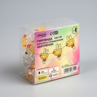 Гирлянда &laquo;Нить&raquo; 2 м роса с насадками &laquo;Прищепки-цыплёнок&raquo;, IP20, серебристая нить, 20 LED, батарейки ААх2 (нет в комплекте), свечение тёплое белое