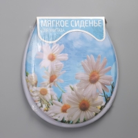 Сиденье для унитаза с крышкой Доляна &laquo;Ромашки&raquo;, 42&times;36,5 см