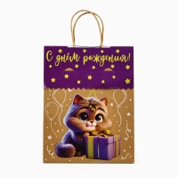 Пакет с клапаном &laquo;С Днём рождения&raquo;, котик, крафт, глиттер, 19,5 &times; 10 &times; 25.2 см
