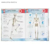 Энциклопедия 4D в дополненной реальности &laquo;Анатомия&raquo;