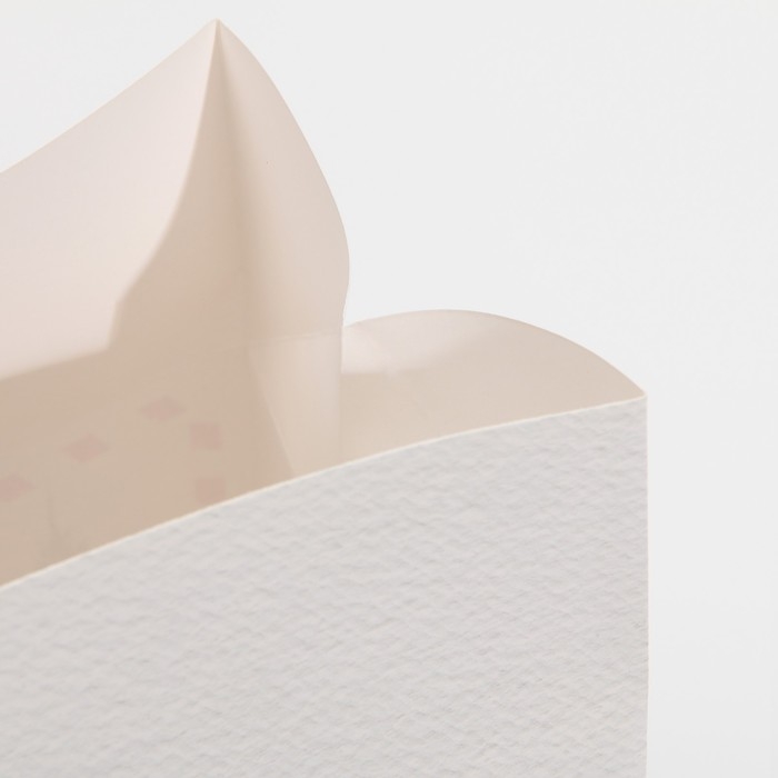 Пакет-коробка &laquo;Новогодняя пора&raquo;, 28 х 20 х 13 см, Новый год