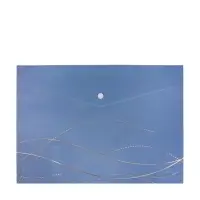 Папка-конверт на кнопке формат А4 180мкр блестящая МИКС Волны  (штрихкод на штуке)