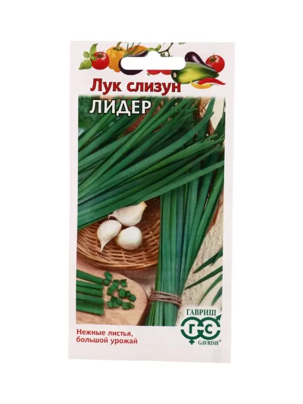 Семена Лук слизун Лидер 0,5 г