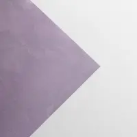 Бумага упаковочная глянцевая двухсторонняя &laquo;Цветочный сад&raquo;, 70&times;100 см