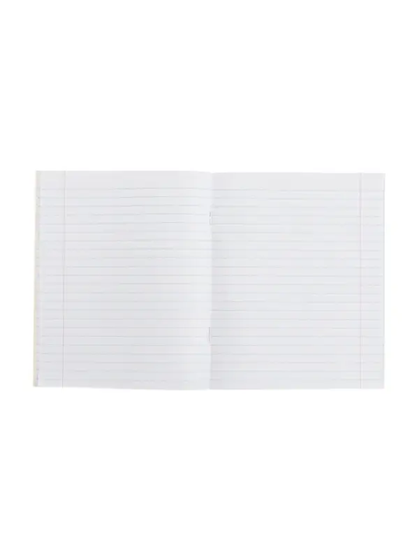 Тетрадь предметная 48 листов в линейку Calligrata, &laquo;Футбол. Литература&raquo;, обложка мелованный картон