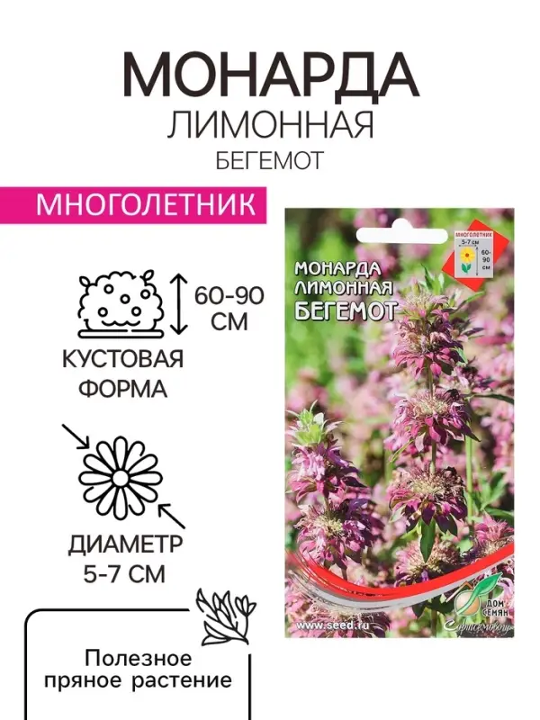 Семена Монарда лимонная "Бегемот", 110 шт