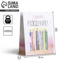 Пакет подарочный ламинированный, упаковка, &laquo;С Днём Рождения&raquo;, S 12 х 15 х 5.5 см