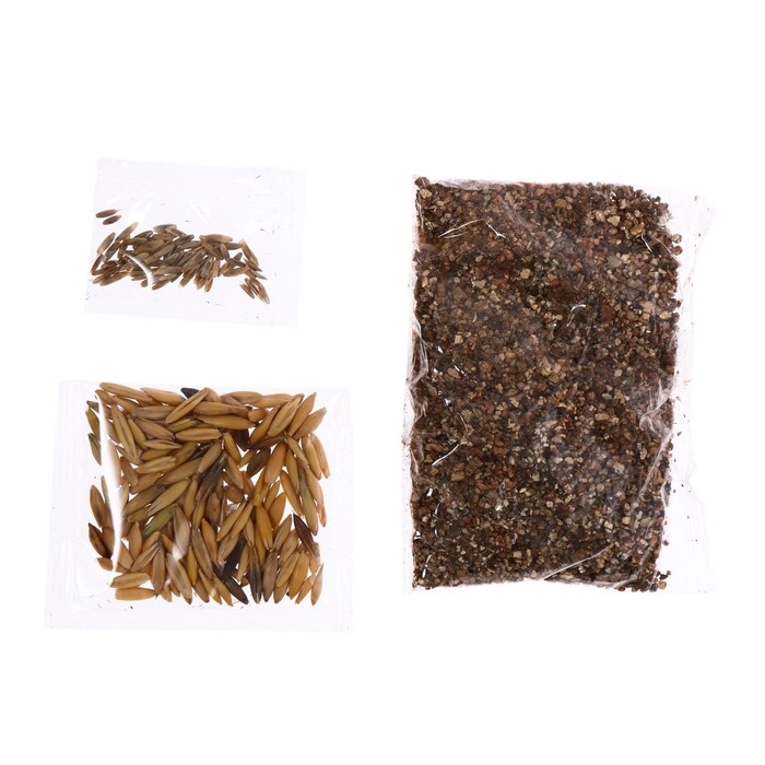 Набор для опытов &laquo;Мой мини-сад: Динозаврики&raquo;, вырасти травку