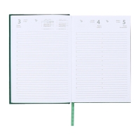 Ежедневник датированный 2024 года, А5, 176 листов, Attomex.Orion, обложка бумвинил, ляссе, блок 70 г/м2, зелёный