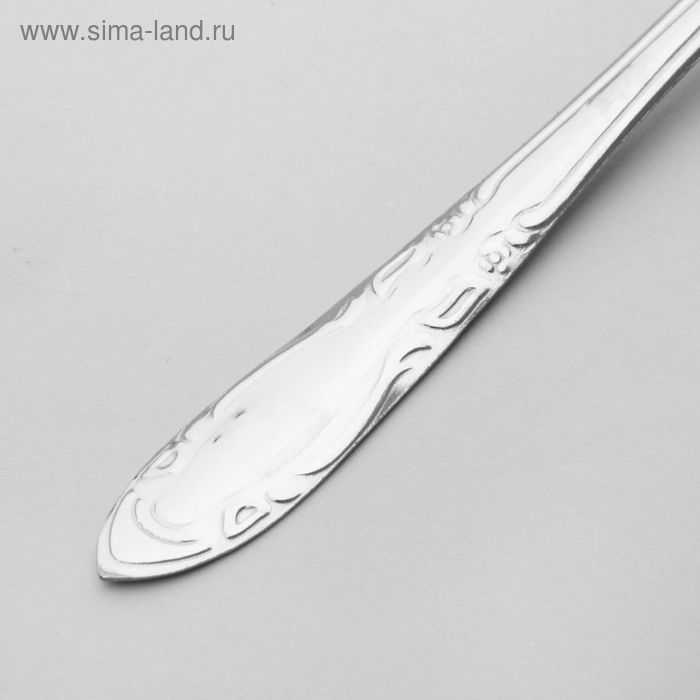 Набор столовых ложек &laquo;Общепит&raquo;, толщина 0,7 мм, длина 19 см, 6 шт, цвет серебряный