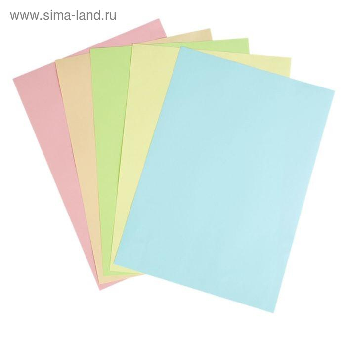 Бумага цветная А4, 500 листов Calligrata Пастель, 5 цветов, 80 г/м&sup2;