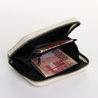 Кошелёк женский на молнии, цвет разноцветный