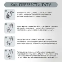 Переводная тату на тело цветная &laquo;Ромашка: То любит, то не любит&raquo;, 6&times;6 см