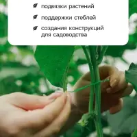 Проволока подвязочная, 10 см, в наборе 100 шт., зелёная, Greengo