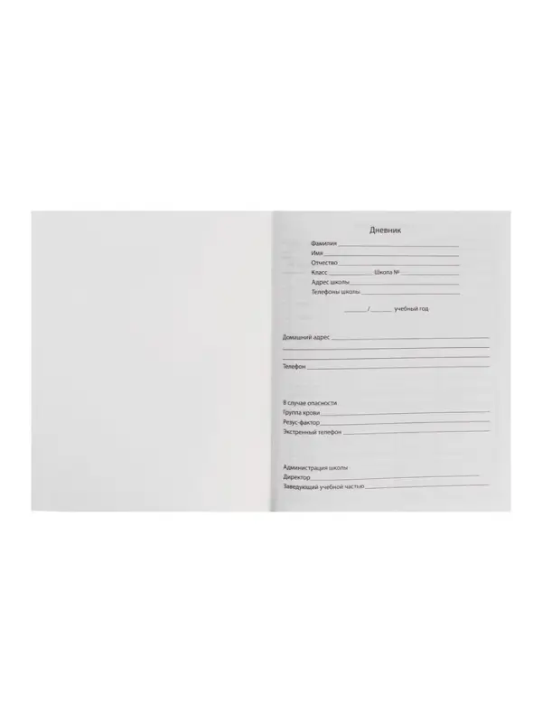 Дневник школьный для 1-11 классов, &laquo;Аниме парень&raquo;, мягкая обложка, 40 листов