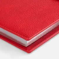 Ежедневник Repute, недатированный, красный