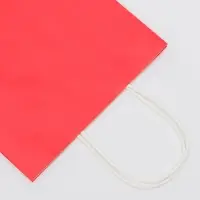 Пакет крафт красный, круглая ручка, 22&times;13&times;32 см, 120 г