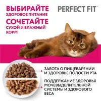 Влажный корм Perfect Fit для чувствительных кошек, индейка, 75 г